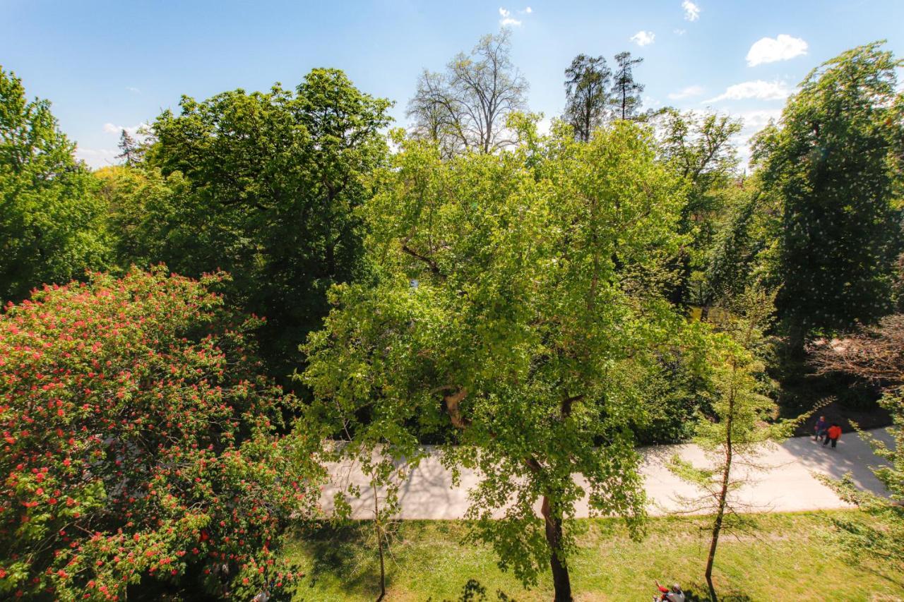 Maison Labruyere Bordeaux - Jardin Public Экстерьер фото